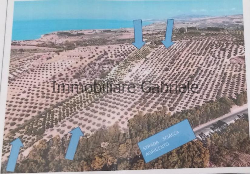 IMMOBILIARE GABRIELE VENDE TERRENO A RIBERA (AG)